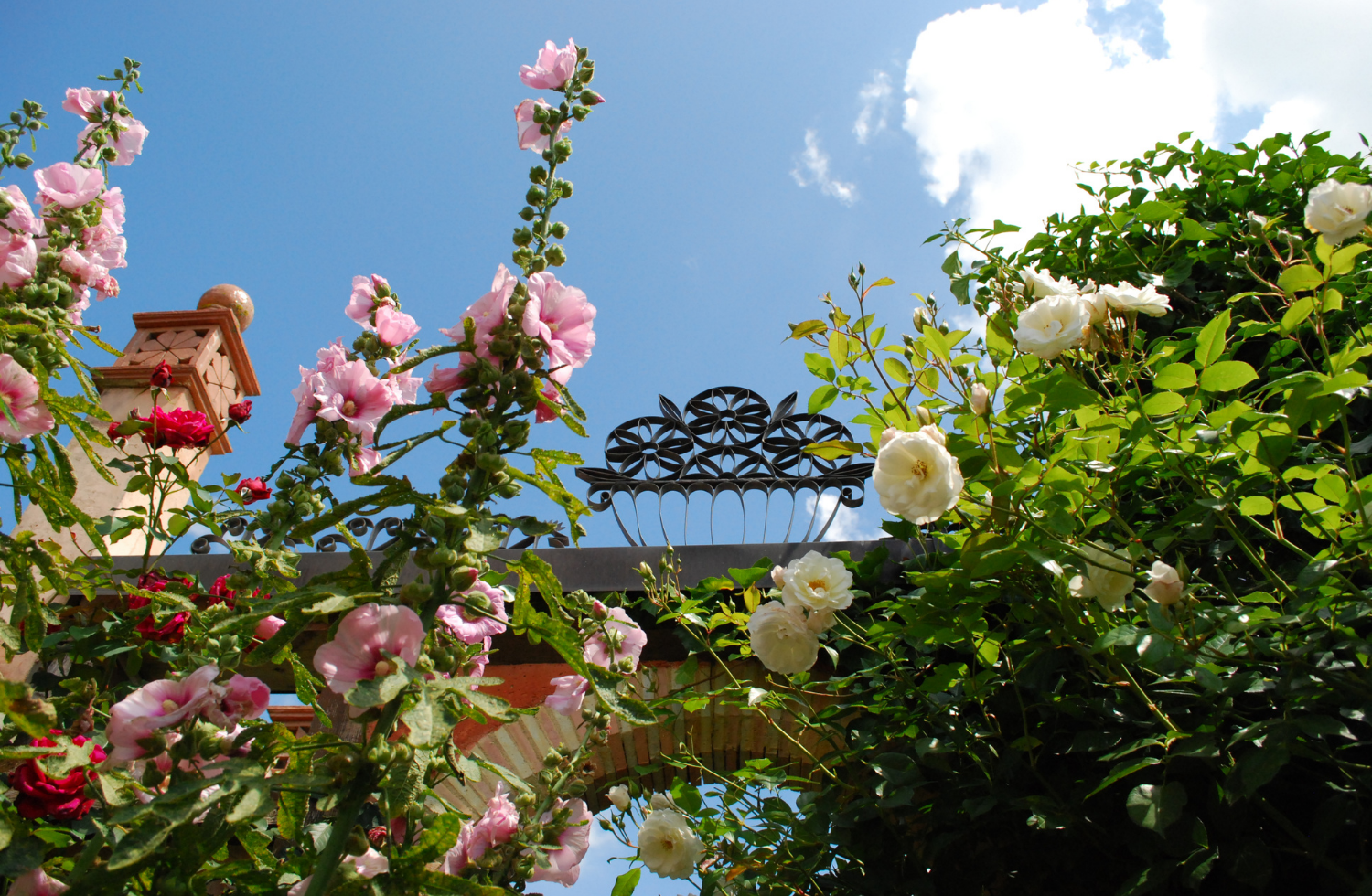 Vos photos de mariage aux Jardins Secrets