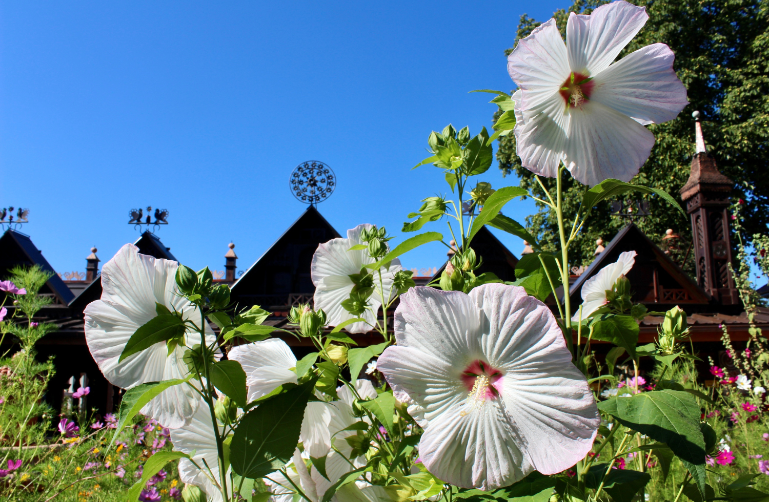 10 bonnes raisons de venir aux Jardins Secrets